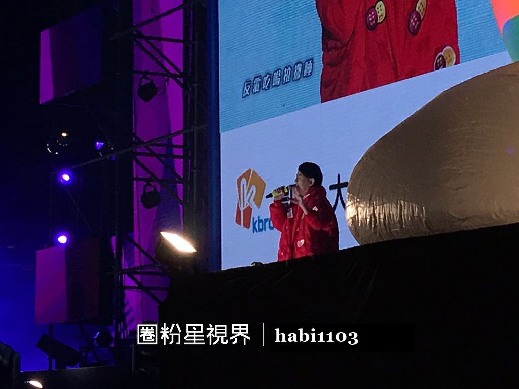 2019桃園跨年 (10).jpg