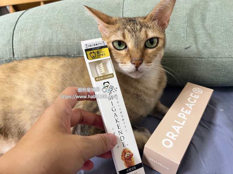 敏齒樂寵物天然軟毛牙刷、ORALPEACE口樂平寵物牙膏