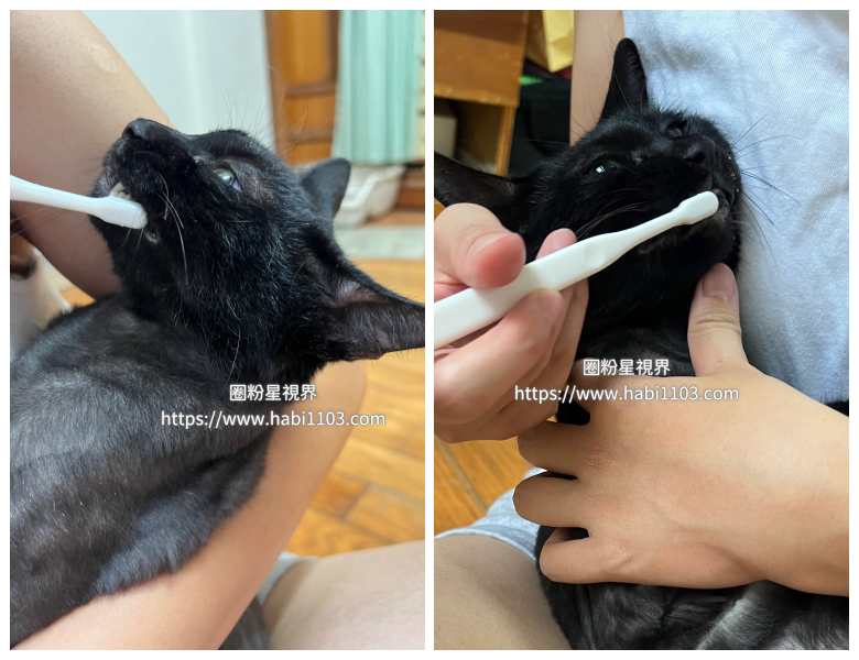 MIGAKENDE敏齒樂寵物天然軟毛牙刷