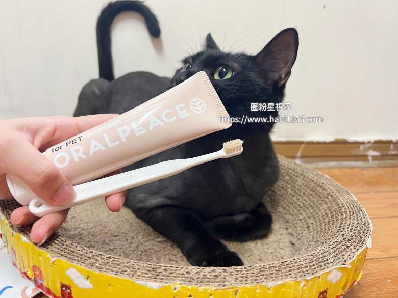 ORALPEACE口樂平寵物牙膏