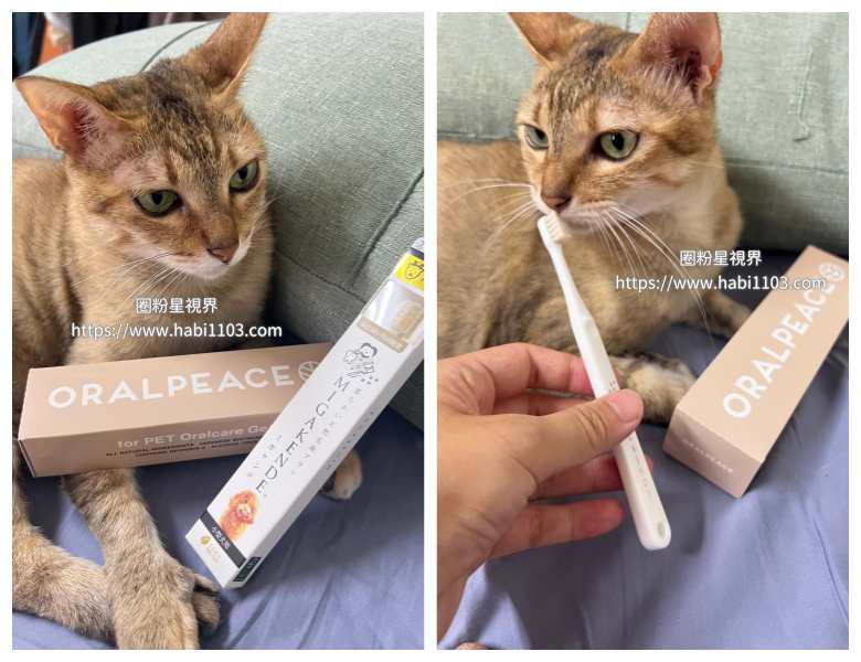 MIGAKENDE敏齒樂 寵物天然軟毛牙刷