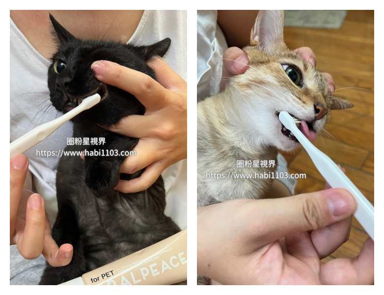 MIGAKENDE敏齒樂寵物天然軟毛牙刷