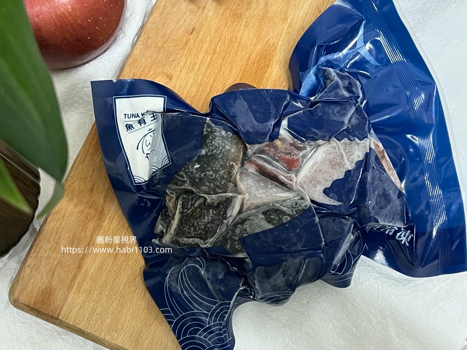 魚有王鮪魚鳳尾丁