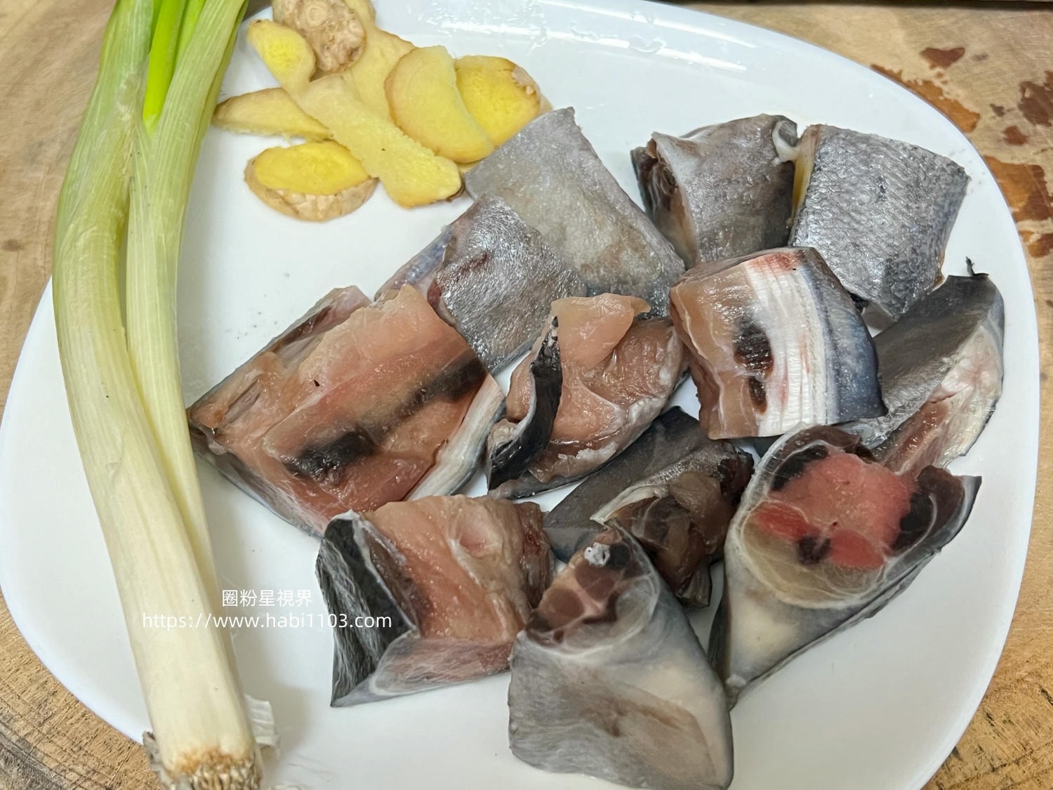 魚有王鮪魚鳳尾丁