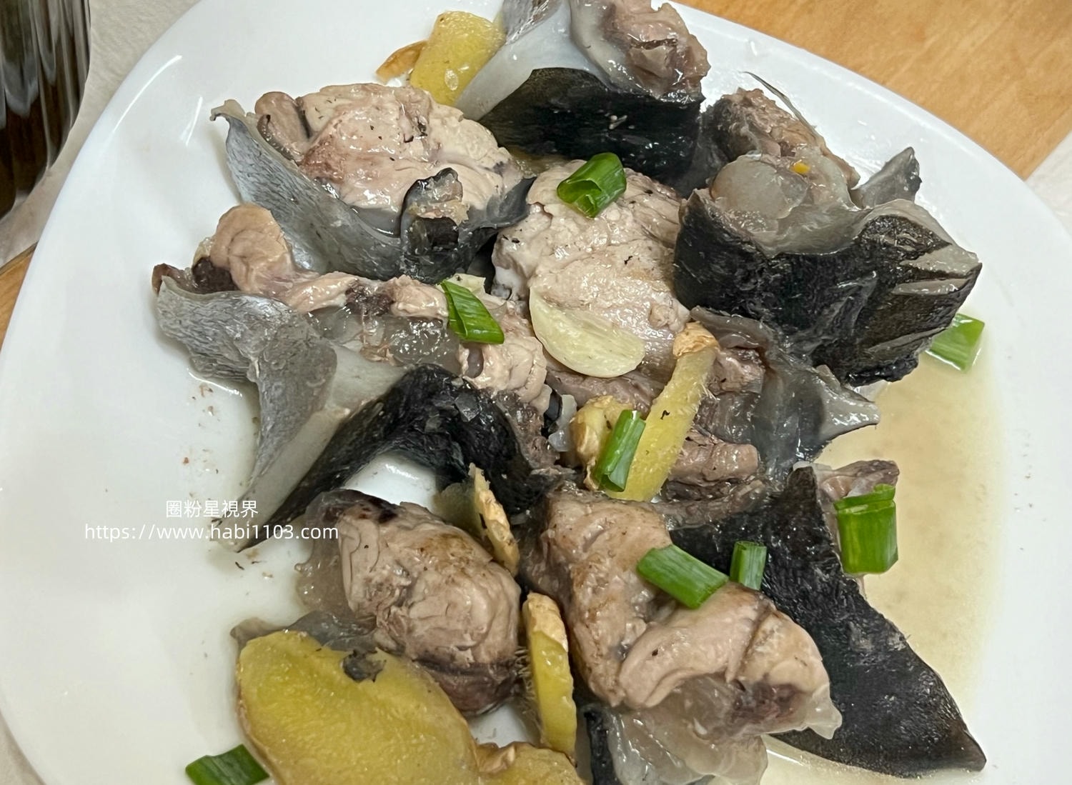 魚有王鮪魚鳳尾丁