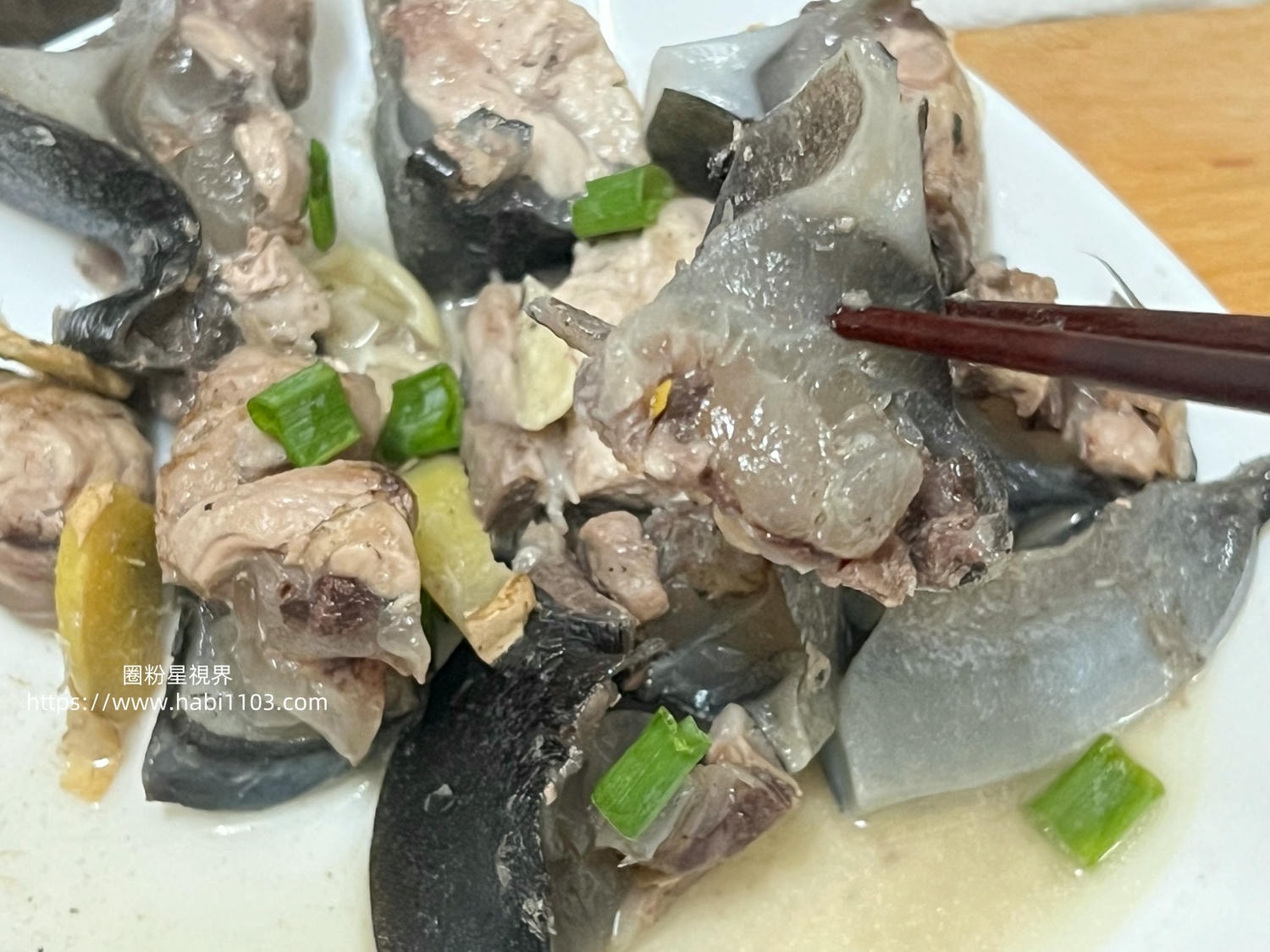 魚有王鮪魚鳳尾丁